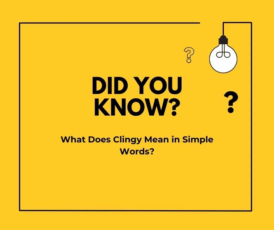 what does clingy mean