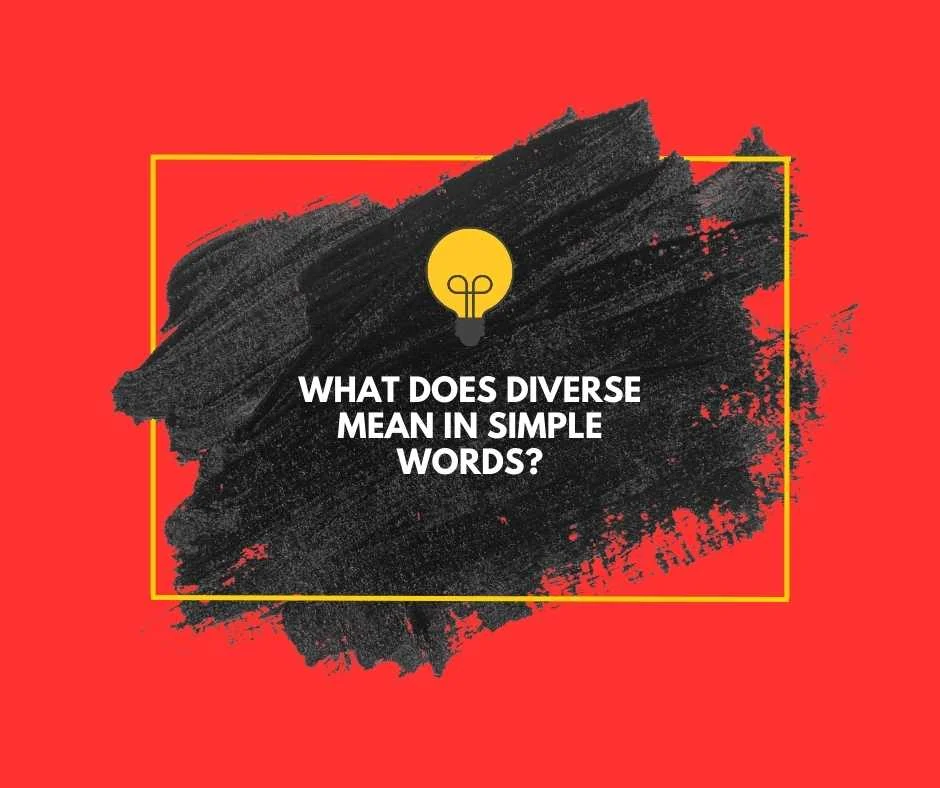 What Does Diverse Mean?