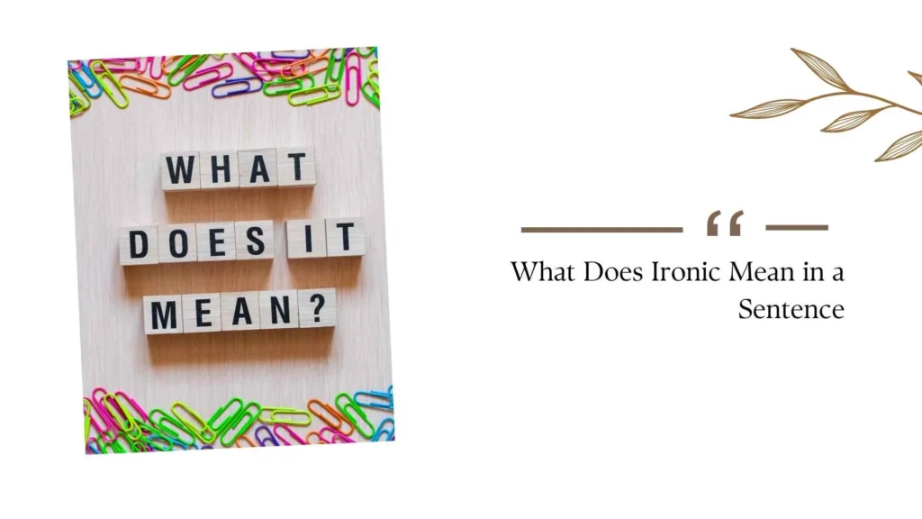 What Does Ironic Mean in a Sentence