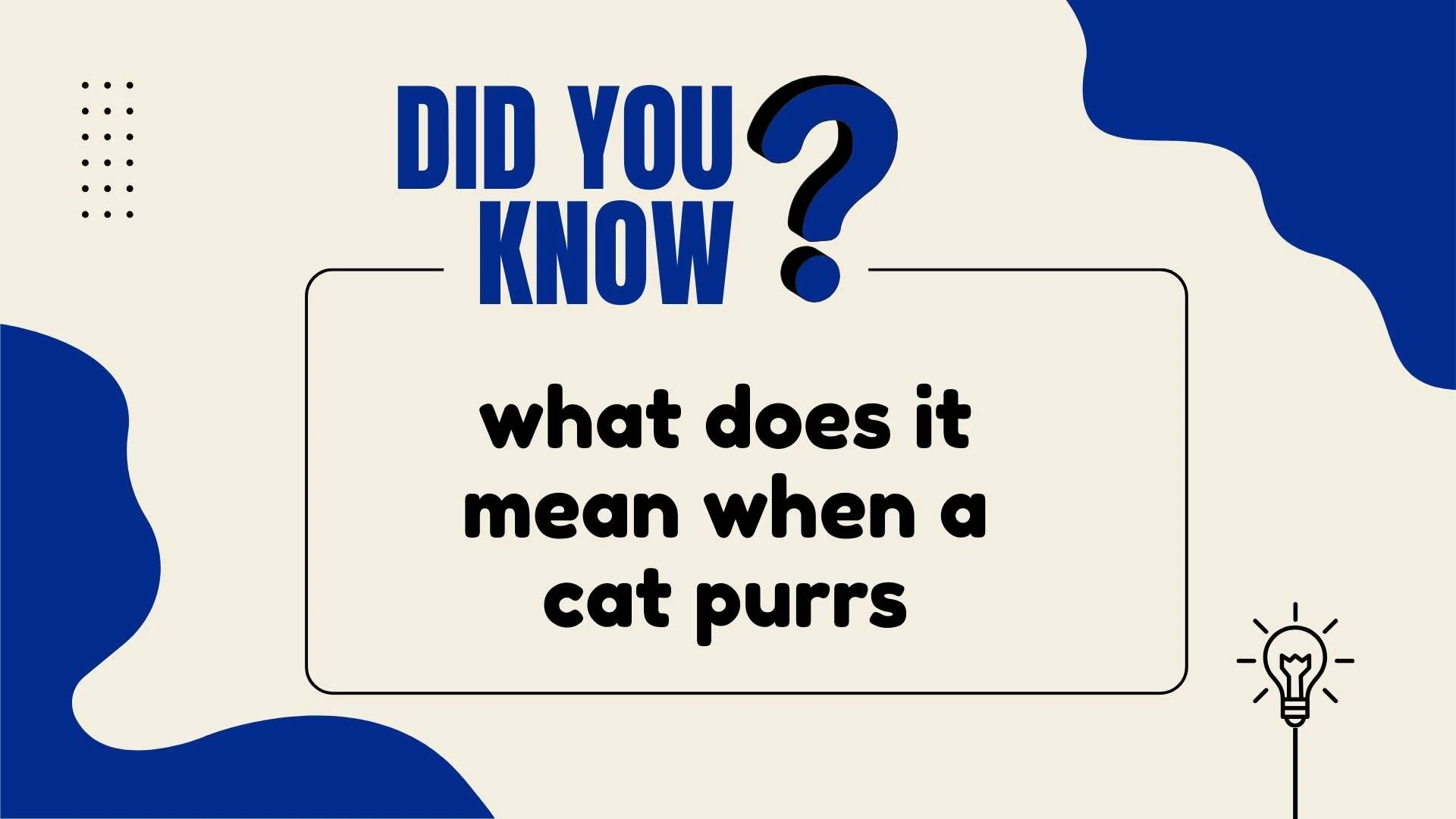 What Does It Mean When a Cat Purrs?