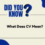 What Does CV Mean?